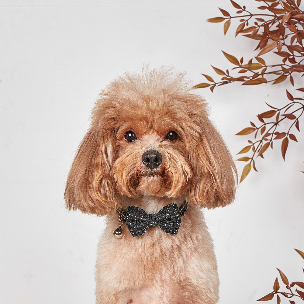 Bow Cat Collar Adjustable Pet Bow Tie Collar with Safety Buckle and Bell Decoration Suitable for Kittens & Puppies Cat Necklace