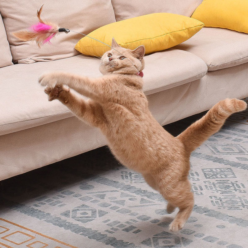 Funny Interactive Cat Toys Silica Collar Feather Teaser Stick With Bell Kitten Playing Teaser Wand Training Toys Pet Supplies