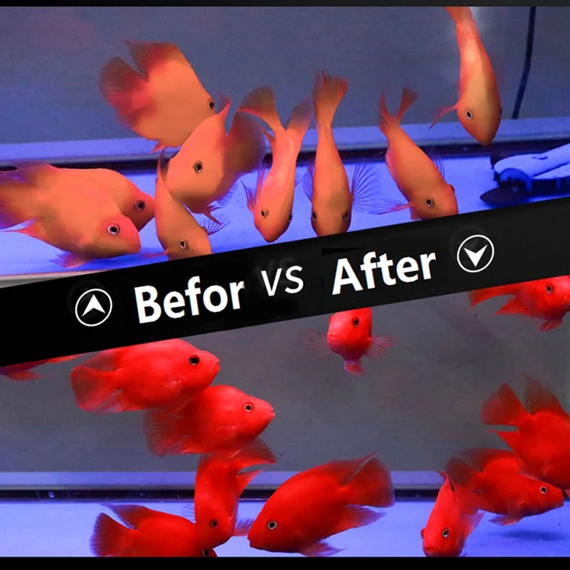 Blood Parrot Fish Food Float on Water Intense Red Enhancing Fast Coloring Snapper Fish Food for Tropical Feed 500g/bottle