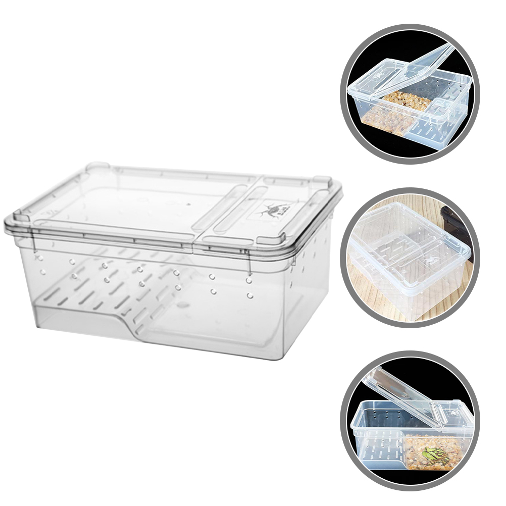 Reptile Tank Decor Amphibian Feeding Box Toy Animals Tortoise Breeding Turtle Terrarium