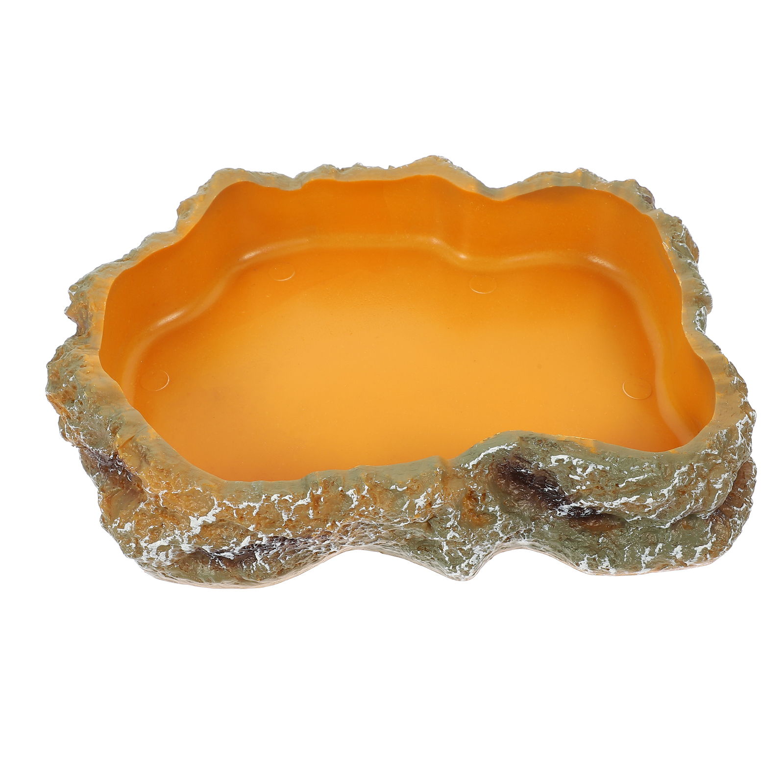 Bearded Dragon Tank Accessories Climbing Pet Food Bowl Animal Tortoise Water Dish