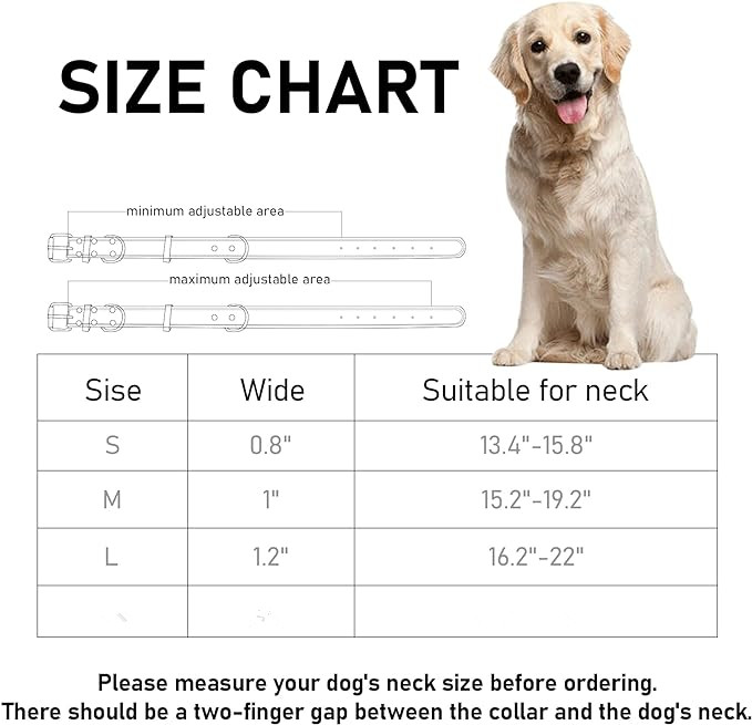 Genuine Leather Heavy Duty Wide Strong Collar for Small Medium Size and Extra Large Dog Z250326
