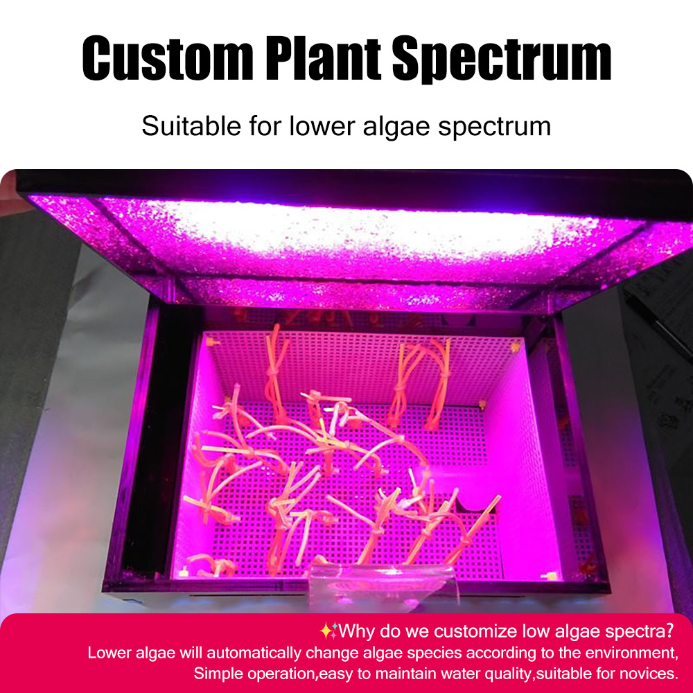 Marine UAS External Algae Box Balance Water Quality By Controlling Algae Growth Mute Filter for Bedroom