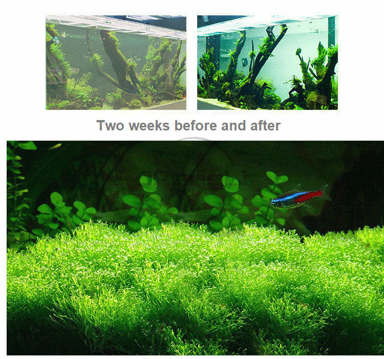 Sunsun Filter Accessories Activated Carbon For HBL301 402 403 501 701 Aquarium Fishing Tank Filtro Supplies Waterfall Hang On