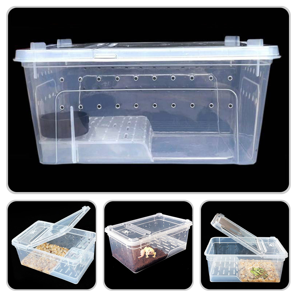 Amphibian Feeding Box Practical Turtle Tank Reptisoil Accessories Plastic Reptile Habitat with Platform Aquarium