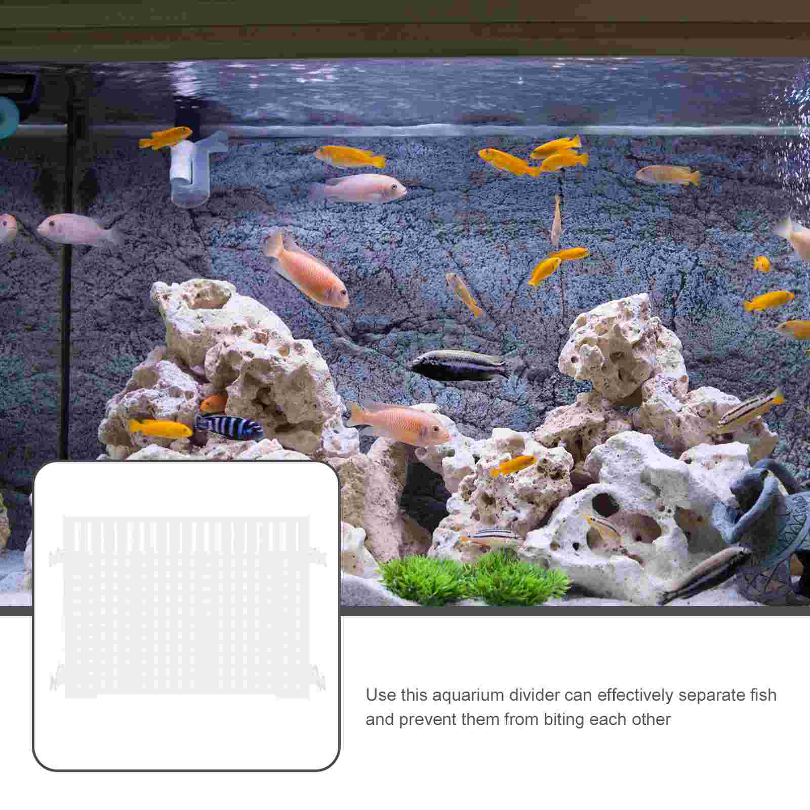 Fish Tank Isolation Board Divider for Easy Installation Acrylic Net Aggressive Suction Cup Aquarium Breeding Partition