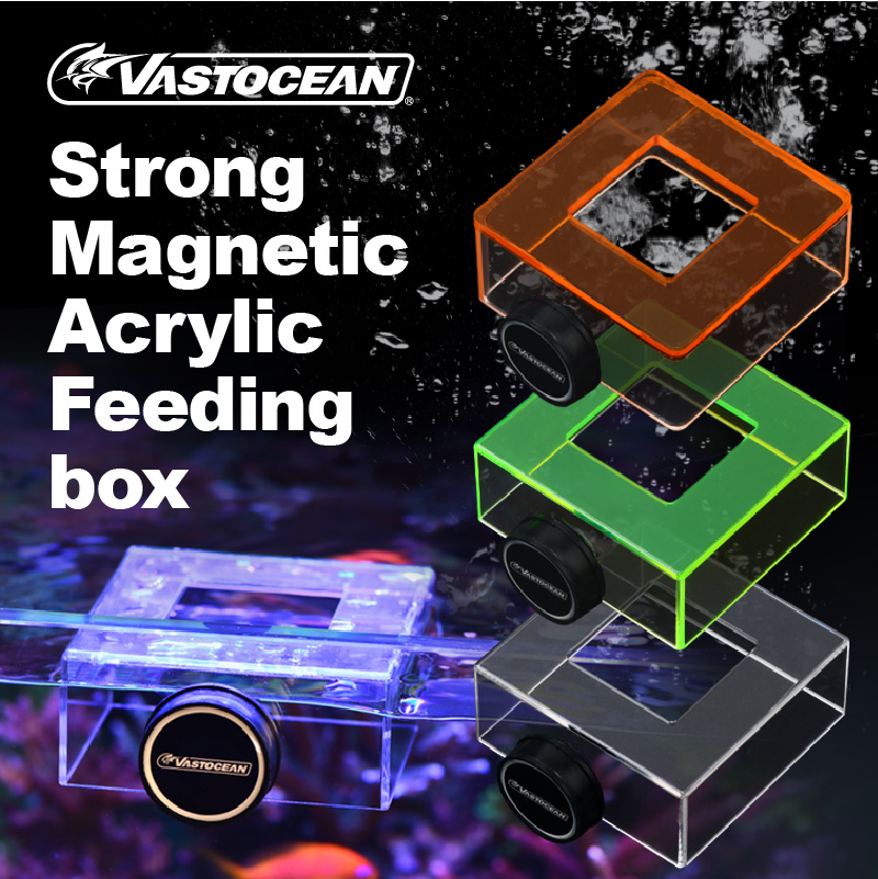 VASTOCEAN Strong Magnetic Acrylic Feeding Box Feeding Ring Aquarium Fish Food Fish Food Feeding Ring Feeding Ring
