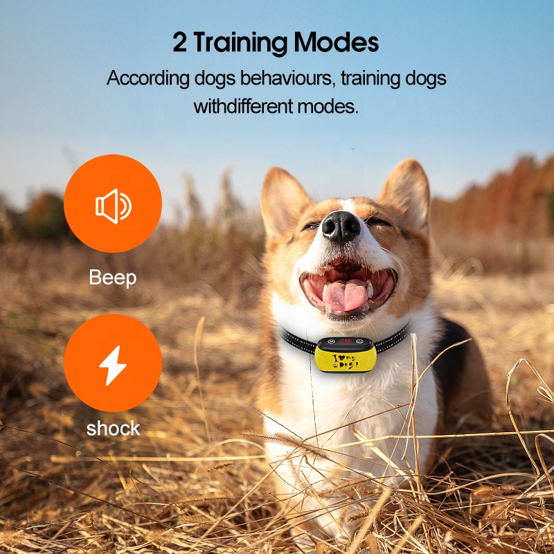 Shenzhen Wellturn New Technology Automatic/Fixed Anti-Bark Collar Shock Collar For Dogs