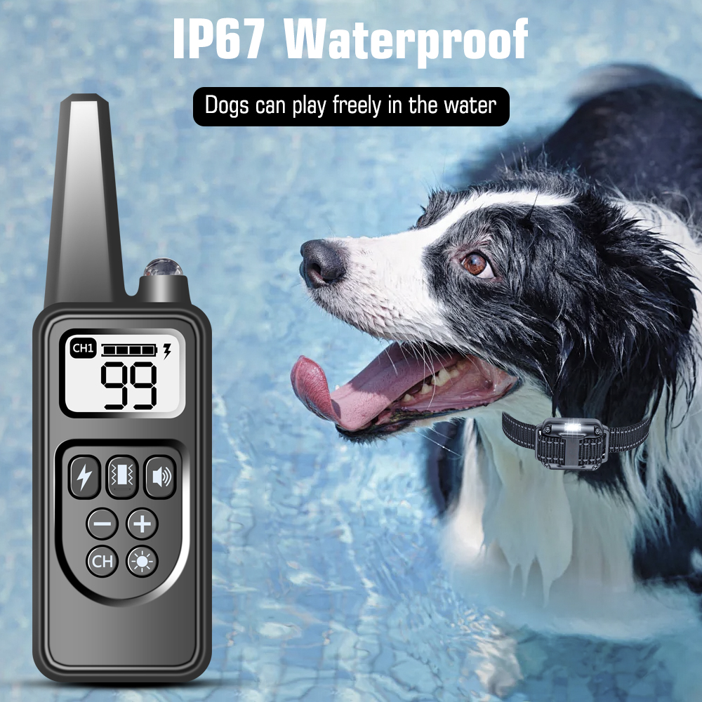 Dog Training Collar with Remote for Small, Medium and Large Dogs, IP67 Waterproof, Shock Collar for 2 Dogs