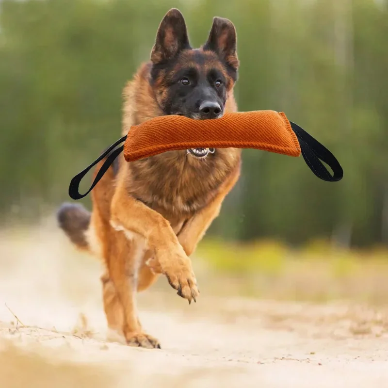 Durable Dog Bite Stick Creative Dog Tug Toy Non-slip Wear-resistant Pet Dog Training Flax Sleeve Toy