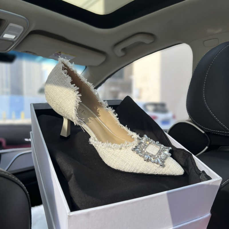 2025 new Woman New Fashion Shoes Ponted Toe Thin High Heels Crystal Pumps Elegant Style Party Ladies Footwear Autumn Champagne Sier f38f