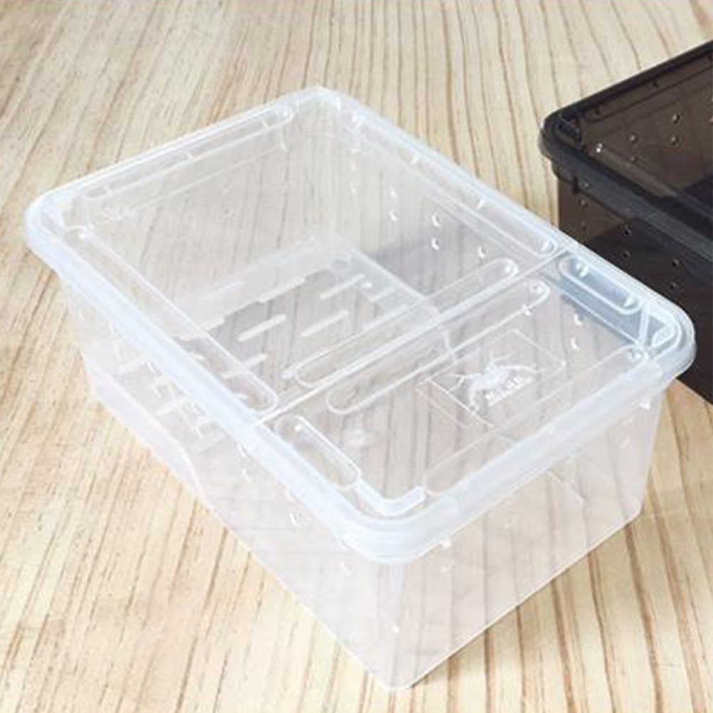 Amphibian Feeding Box Practical Turtle Tank Reptisoil Accessories Plastic Reptile Habitat with Platform Aquarium