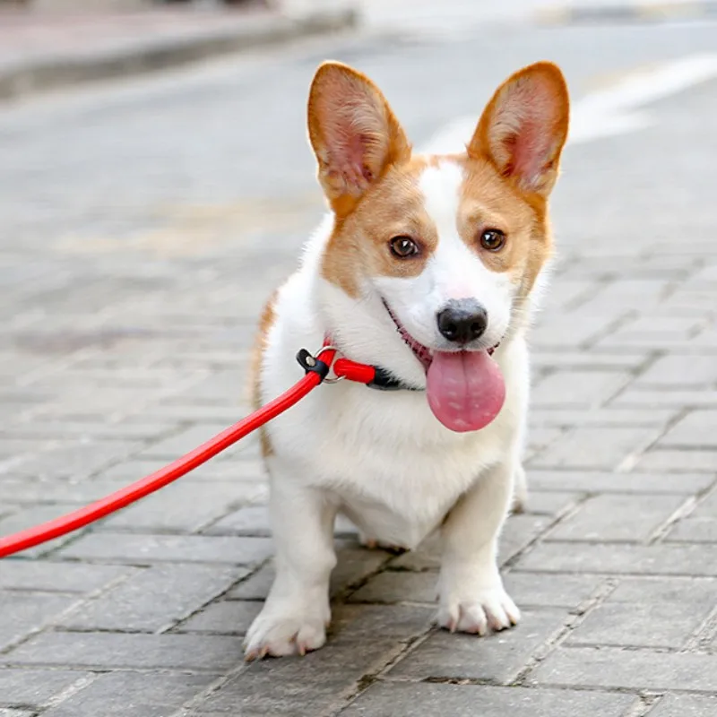 Dog Collar P Chain for Dog Walking Adjustable Dogs Collar P Rope Pet Collars Nylon Dogs Harness Puppy Training Rope Pet Supplies