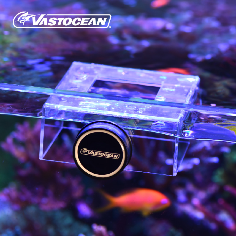 VASTOCEAN Strong Magnetic Acrylic Feeding Box Feeding Ring Aquarium Fish Food Fish Food Feeding Ring Feeding Ring