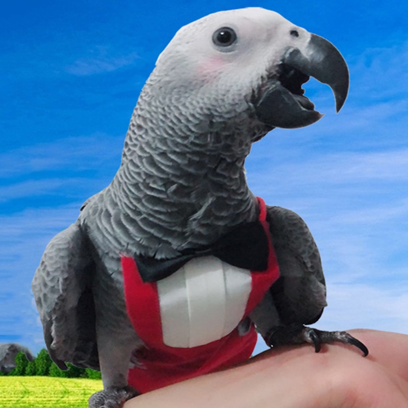 Bird Diaper Flight Suite Protective Parrot Nappies with Waterproof Inner Layer Urine Wet Suit with Bowtie for Birds B03E
