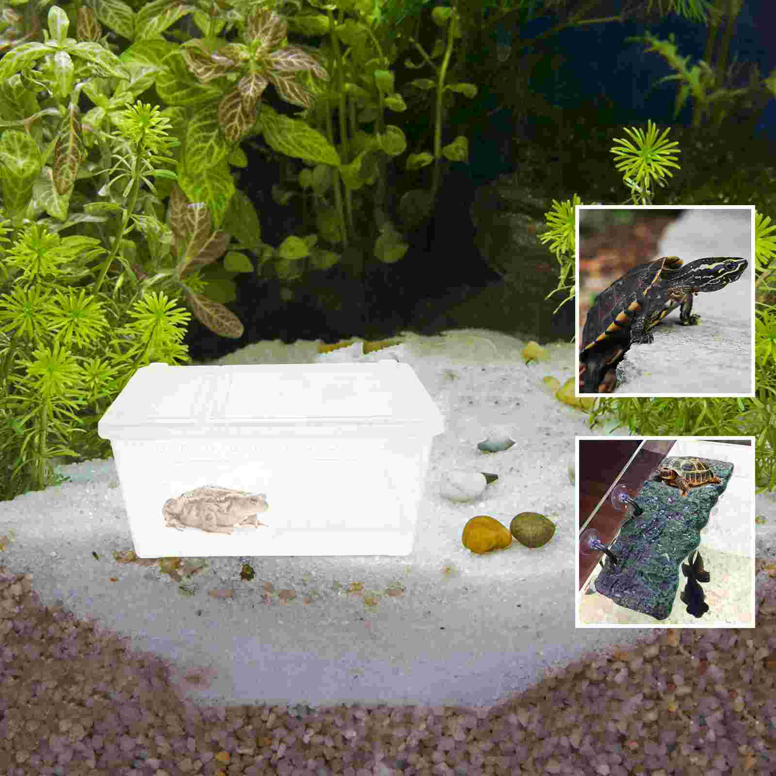 Amphibian Feeding Box Practical Turtle Tank Reptisoil Accessories Plastic Reptile Habitat with Platform Aquarium