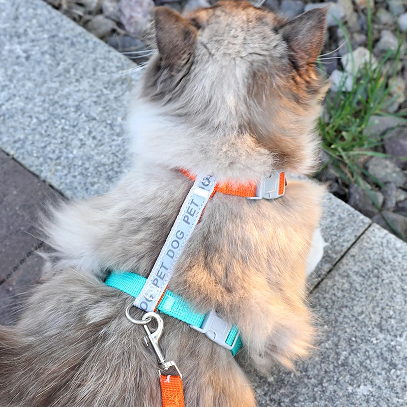 Small Dog Harness & Leash Set,No Pull Dog Harness Step-in Adjustable Reflective,Pet Harness for Puppy Training Outdoor Walking