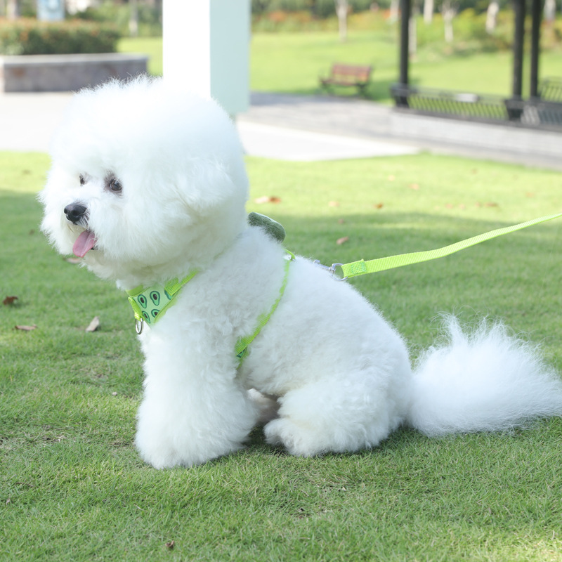 Dog Harness and Leash Set Vest-style Small Dog Harness Breathable and Adjustable Harness for Cats and Puppies for Outdoor Travel