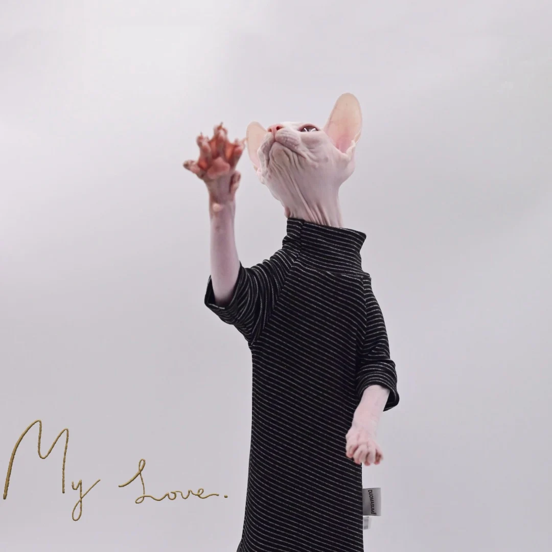 Cozy Four-Legged Cat Jacket for Hairless Breeds Cat Clothes for Sphynx Cats, Devon Rex Cats, Cornish Cats,Abbey Cats