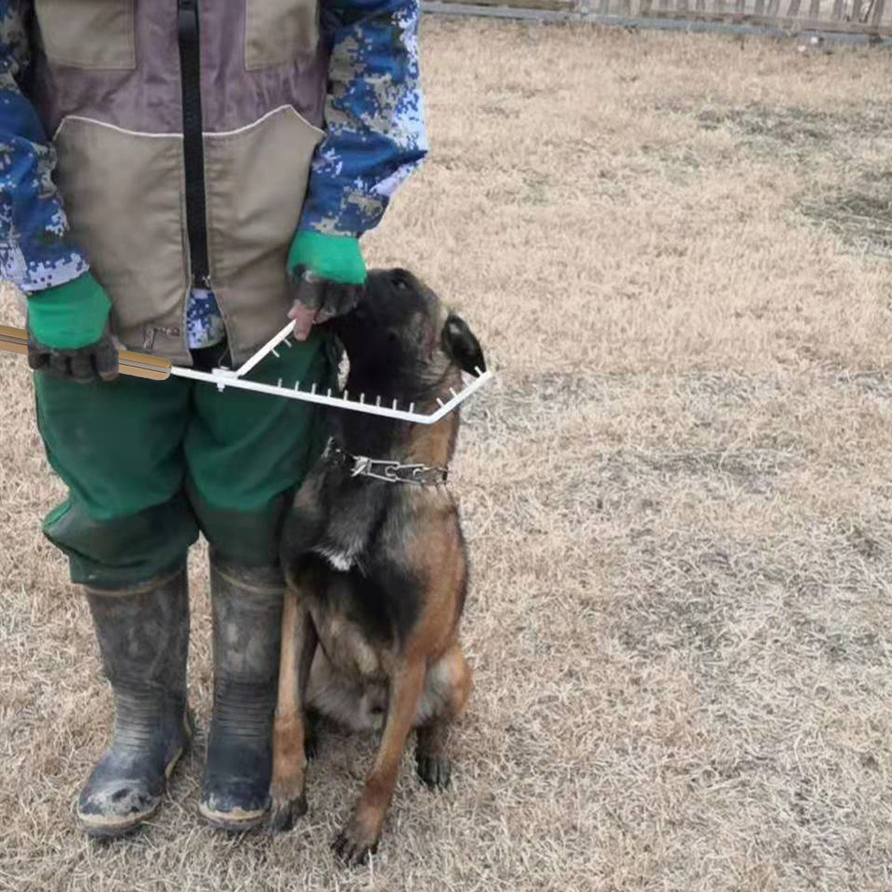 Dog Training Accompanying Rod Correction Dog Crowd Tool Working Dog German Shepherd Dog Supplies Dog Agility Training Equipment