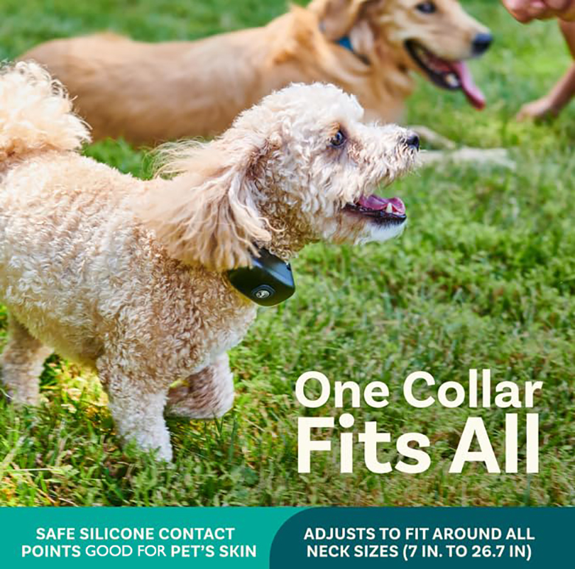 2 In 1 Electric Pet Wireless Fence Dog Training Collar Anti Runaway Up to 3 Dogs Outdoor Pet Containment Rechargeable System