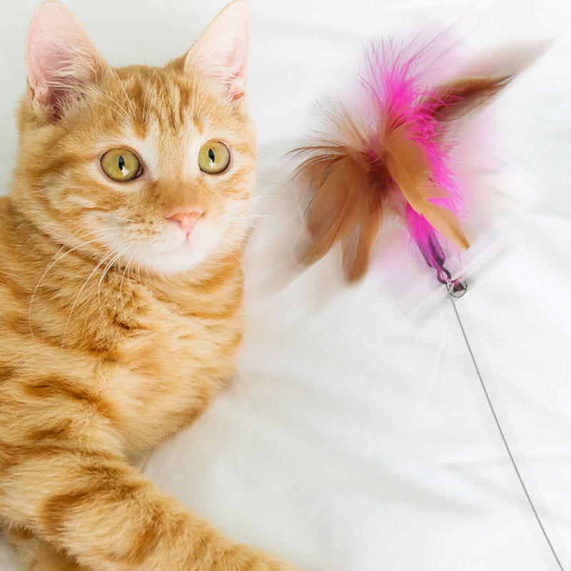 Funny Interactive Cat Toys Silica Collar Feather Teaser Stick With Bell Kitten Playing Teaser Wand Training Toys Pet Supplies