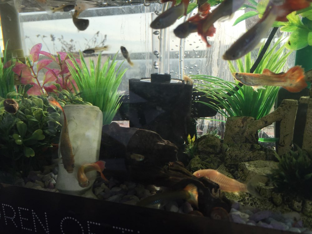 Xinyou XY-180 280 Water Goblin Biochemical Cotton Aquarium Fish Tank Filter Sponge Filter Material Pond Filter Fish Tank Filter