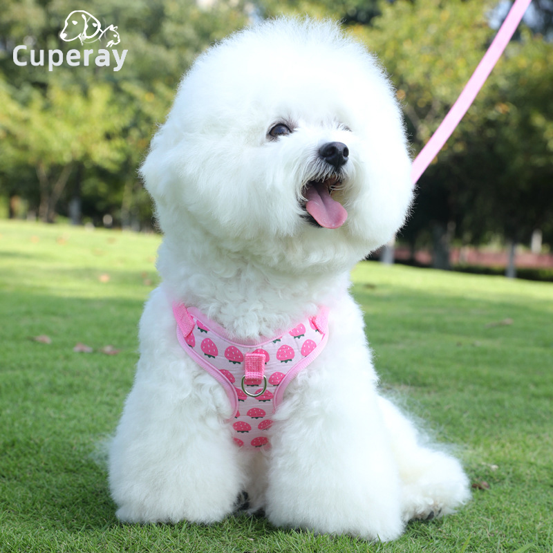 Dog Harness and Leash Set Vest-style Small Dog Harness Breathable and Adjustable Harness for Cats and Puppies for Outdoor Travel