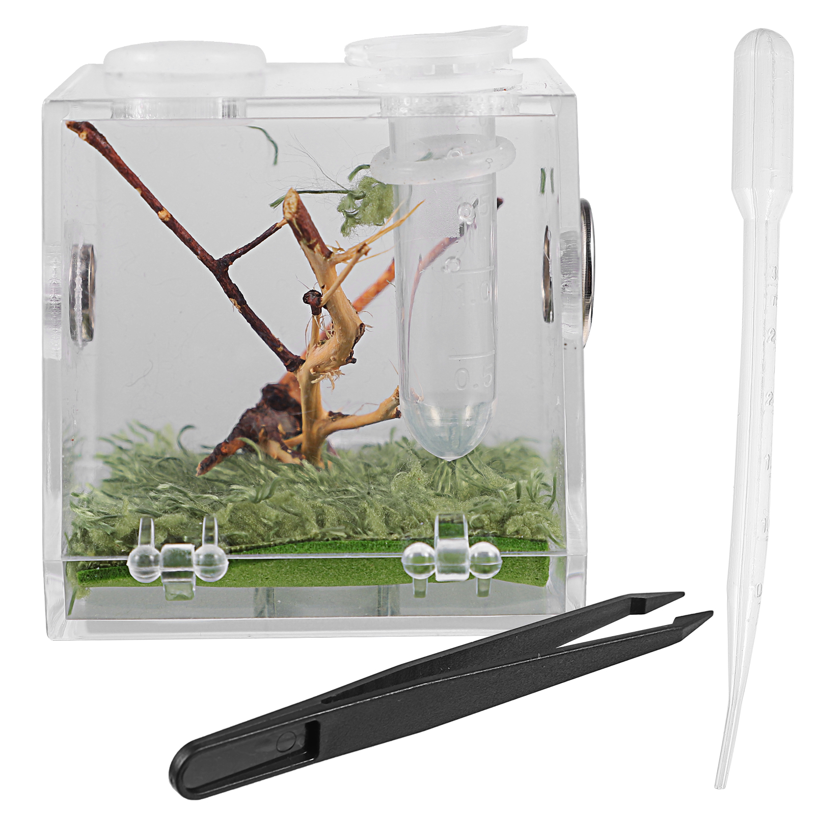 Small Reptile Breeding Box with Dropper and Forceps Pet Terrarium Transparent Acrylic Cage Insect Jumping Spider Feeding Box