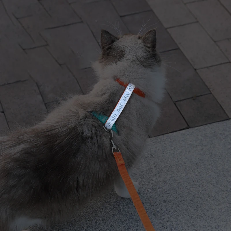 Small Dog Harness & Leash Set,No Pull Dog Harness Step-in Adjustable Reflective,Pet Harness for Puppy Training Outdoor Walking