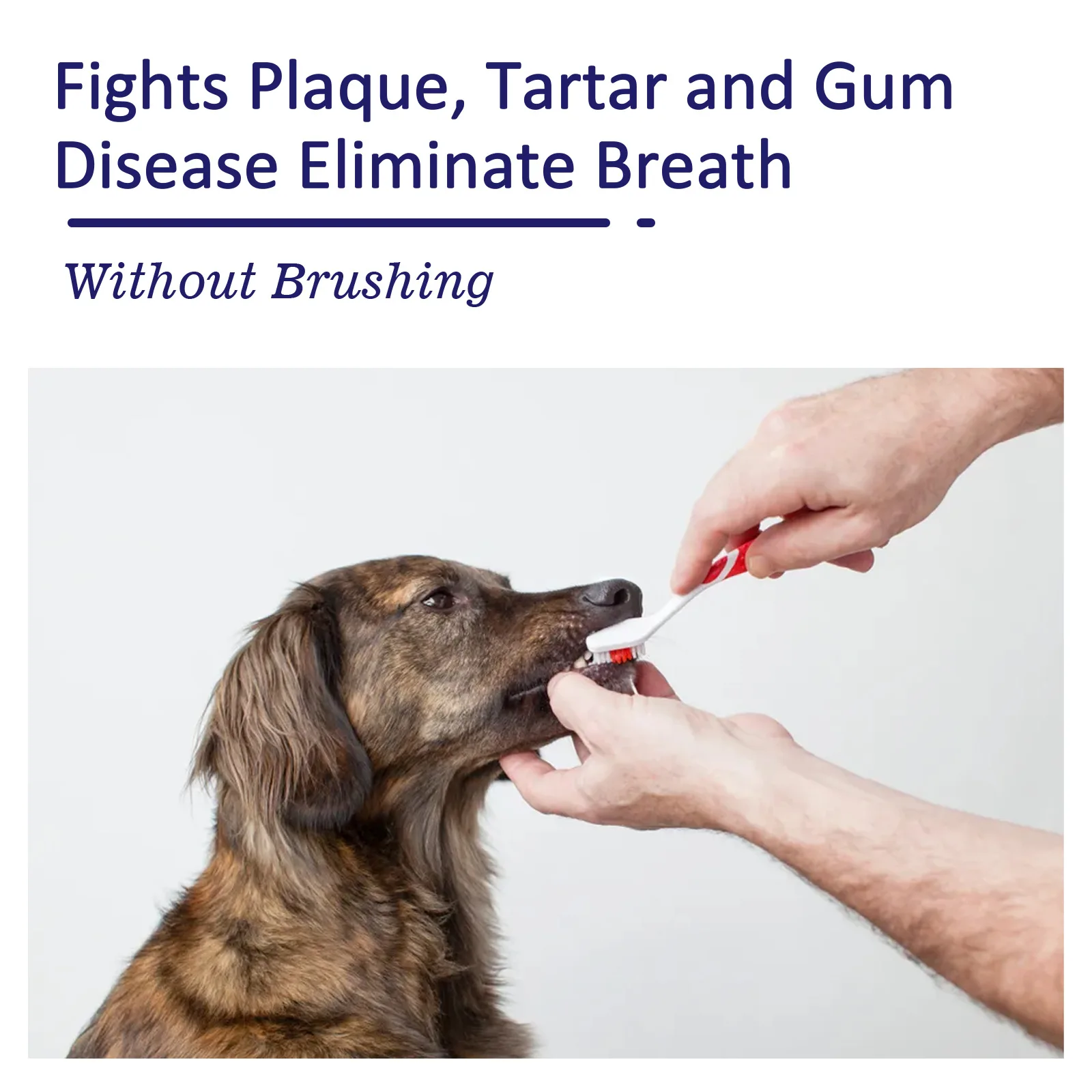 Pet Toothpaste For Dogs Reduce Tartar And Plaque Buildup Cleaning Dog Oral Fresh Breath Edible Pets Products Cleaning Supplies