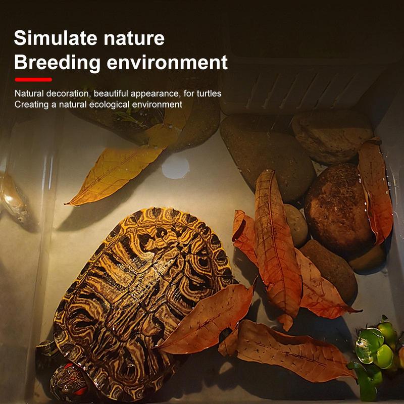 50 pieces Turtle Longan Leaf Betta Fish Toys Aquarium Leaf Longan Leaves Create Realistic Habitat Improve Water Quality Aquarium