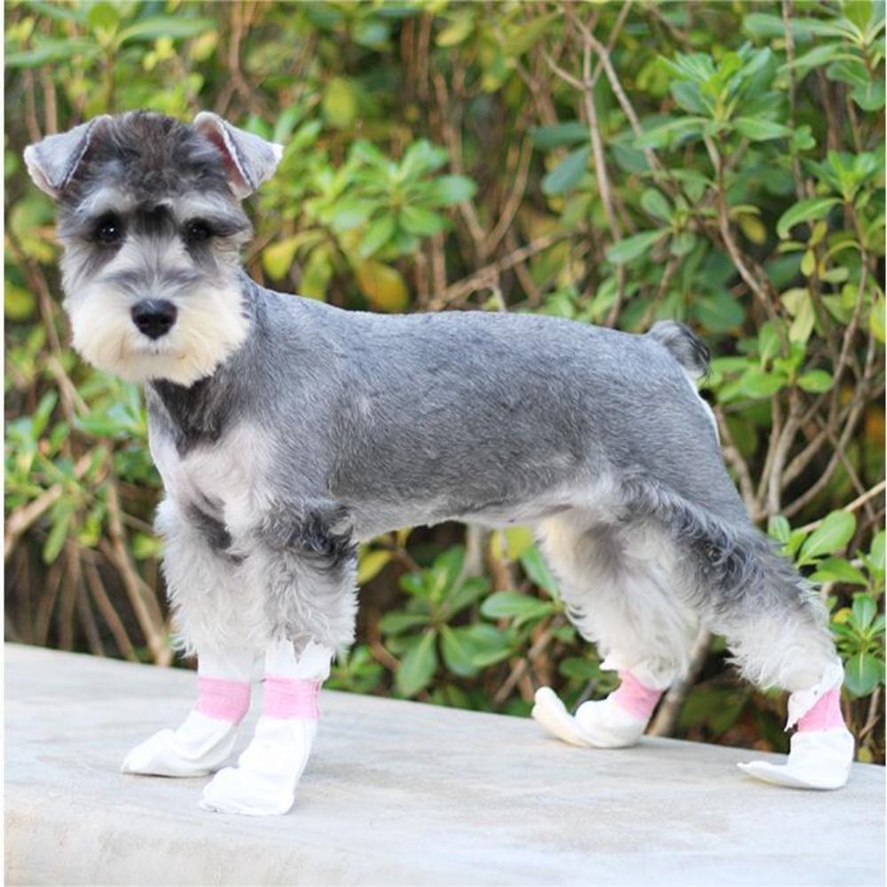 8pcs Pet Supplies Non-woven Fabric Pet Shoes White Protective Dog Boots Dog Foot Cover For Outdoor Activities of Pets
