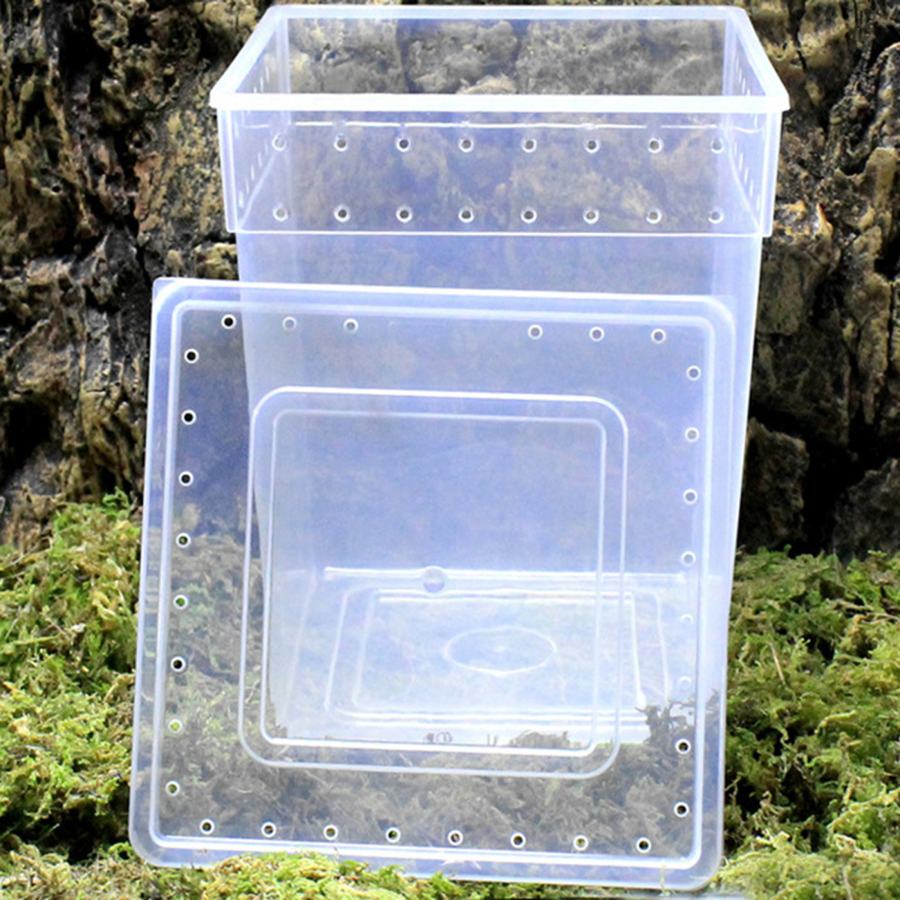 Reptile Terrarium Aquarium Breeding Tank,Tarantula Enclosure Feeding Box Insect Habitat for Snake Lizard Hermit Crab Insect