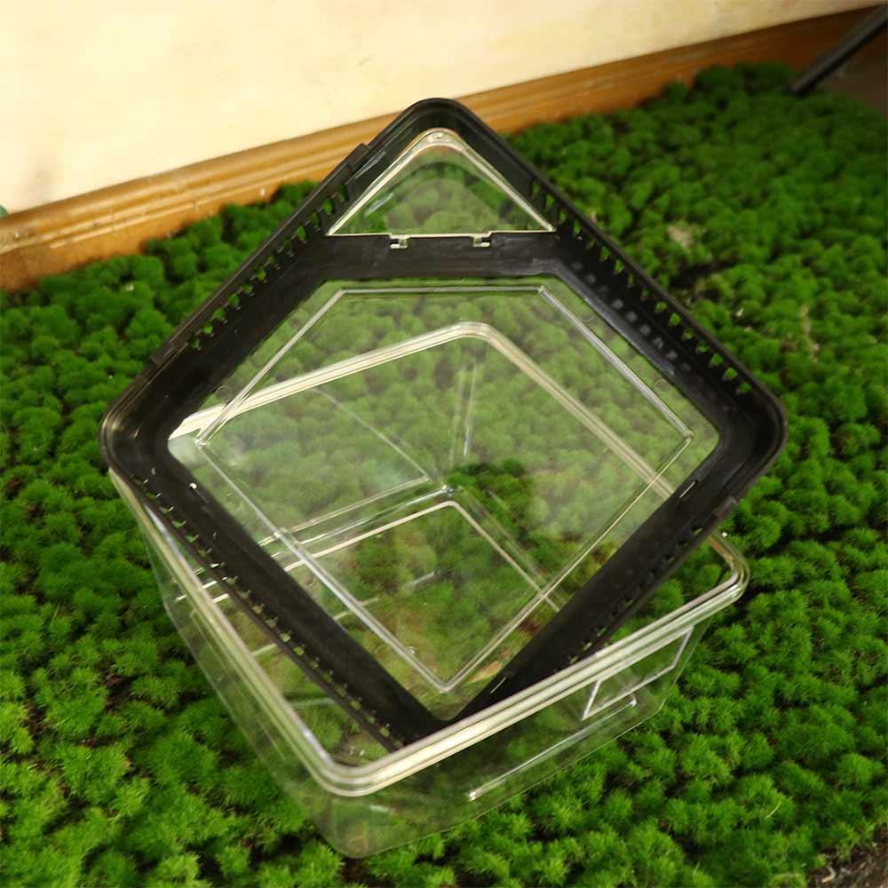 Spider Reptile Terrarium Tank Plastic Reptile Breeding Box Terrarium Cage Insect Viewing Box For Spider Lizard Snail Tarantulas