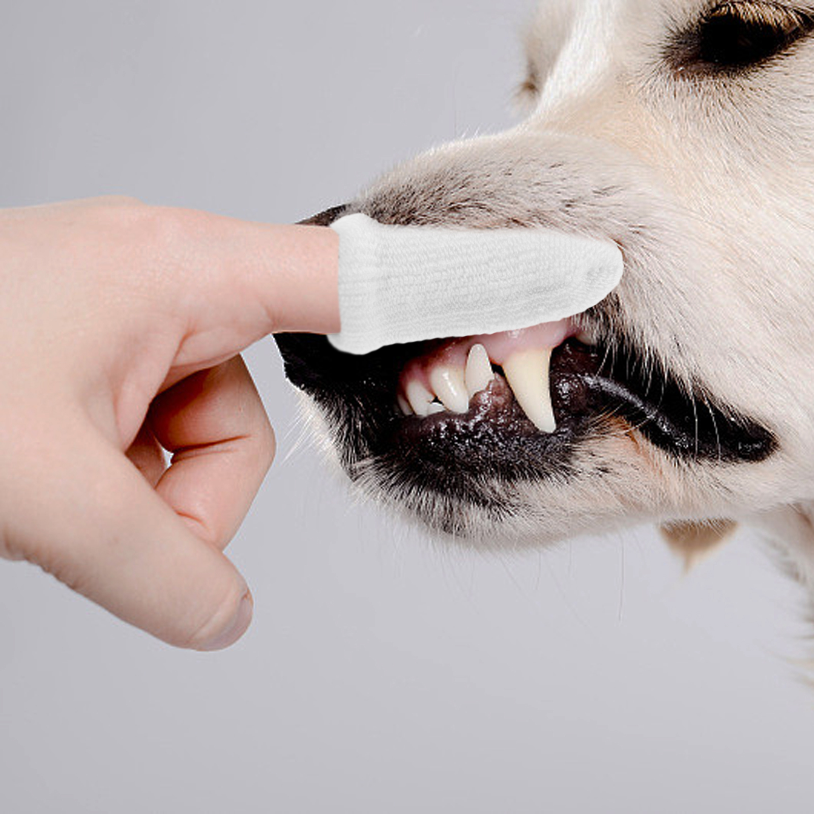 10 Pcs Pet Cleaning Finger Cots Dog Toothbrush Teeth Toothbrushes Cleaner Cat Wipes