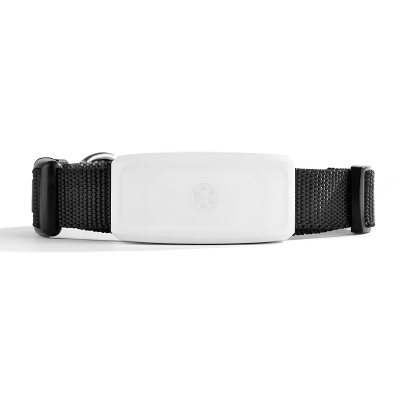 Electronic Pet GPS Tracker Mini Realtime Track Waterproof IP67 500mAh Geo Fence APP Dog Products