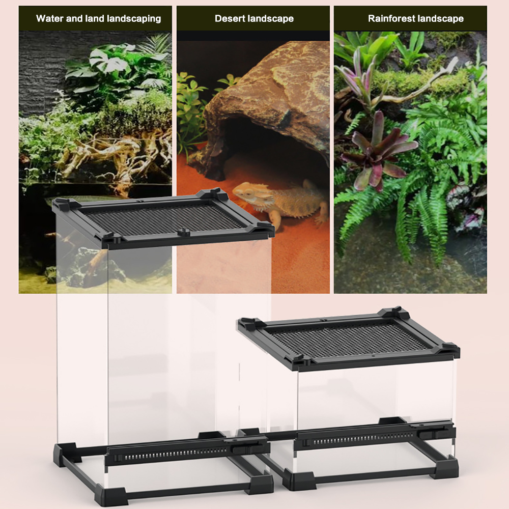 Tempered Glass Rainforest Breeding Box Amphibious Climbing Pet Lizard Turtle Ecological Landscape Breeding Box Ecological Tank
