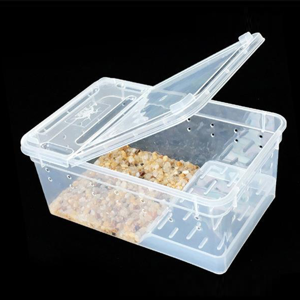 Amphibian Feeding Box Practical Turtle Tank Reptisoil Accessories Plastic Reptile Habitat with Platform Aquarium