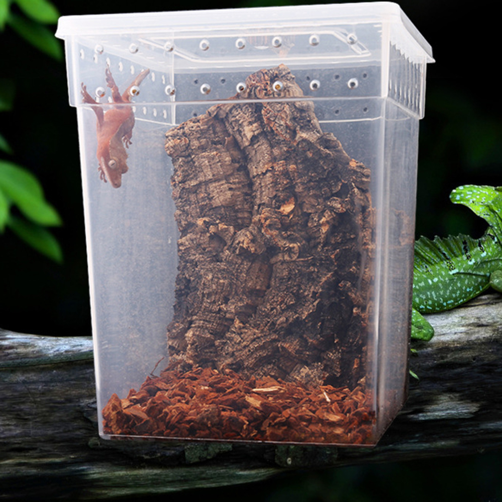 Reptile Terrarium Aquarium Breeding Tank,Tarantula Enclosure Feeding Box Insect Habitat for Snake Lizard Hermit Crab Insect