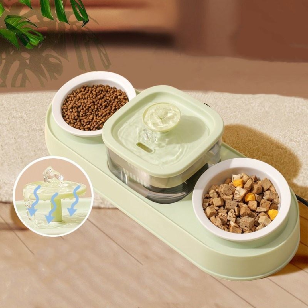 Cat Food Bowls and Water Feeder with Automatic Water Dispenser Double Dog Cat Bowls Detachable Pet Feeder