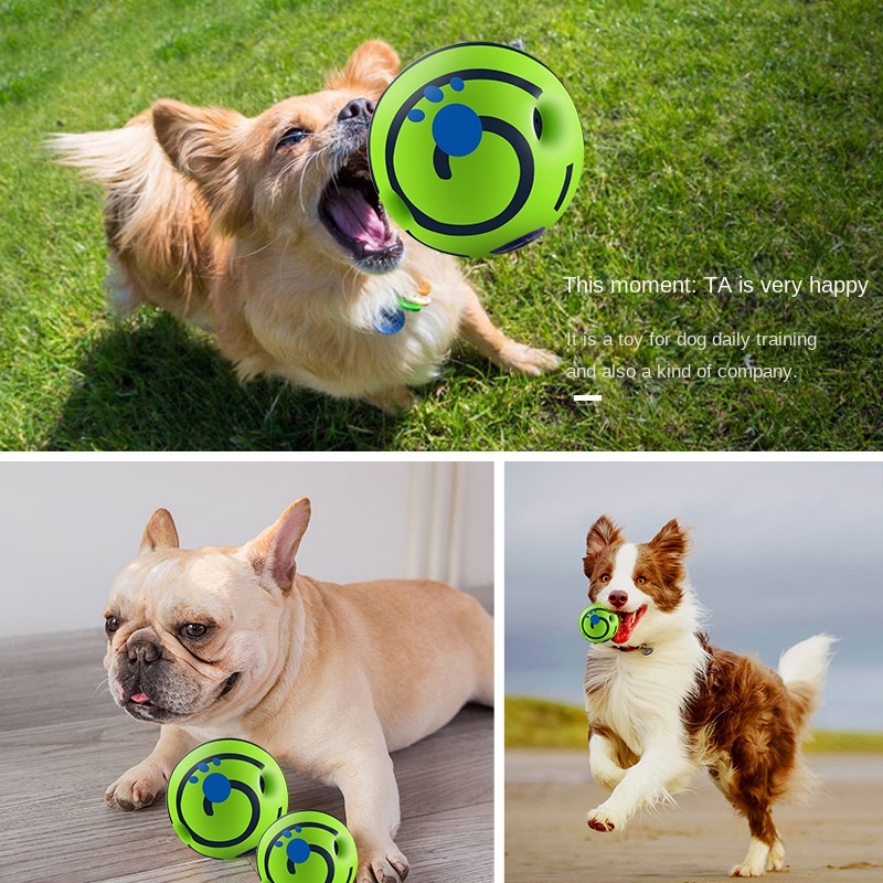 Dog toy, sound ball, bite resistant, grinding teeth, large and small dog, teddy bear, golden fur, French bucket, puppy, pet ball