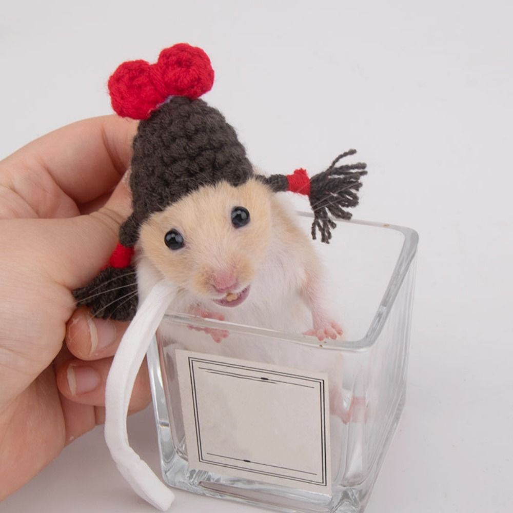 Cute Handmade Knitted Hat Hamster Decoration Chipmunk Guinea Pig Hamster Accessories Hamster Toy Hamster Supplies Small Pet Hat