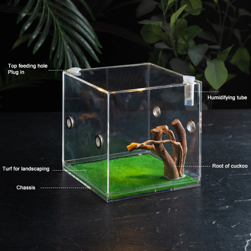 Transparent Acrylic Small Reptiles Pet Breeding Box Habitat Insect Feeding Terrarium Tank Cage Insect Jumping Spider Feed Boxs