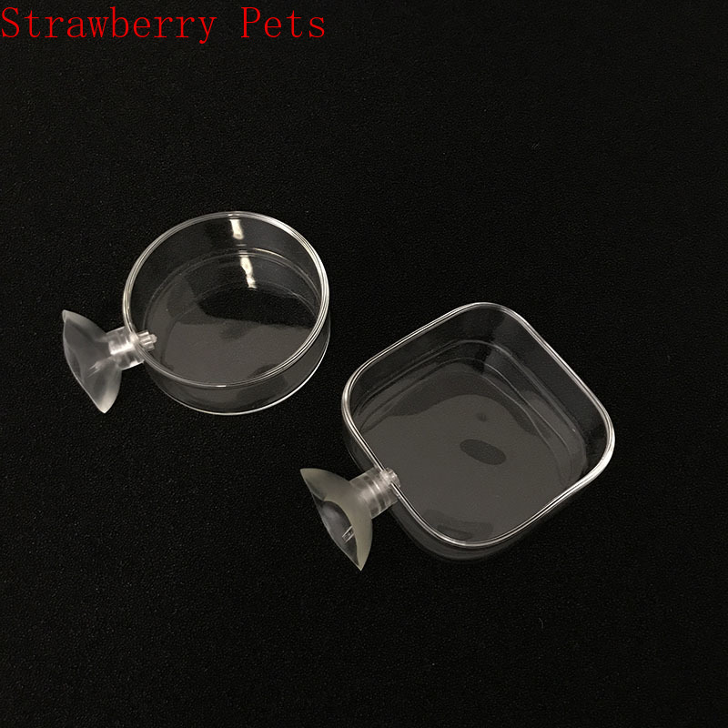 Transparent Aquarium Fish Tank Shrimp Food Feeding Circle Glass Feeder Floating Bottom Feeder Fish Shrimp