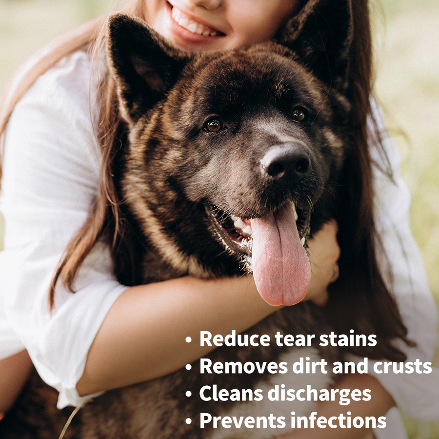 OEM Pet Cleaning Product 100 Pieces Pet Dog Cat Eye Ear Cleaning Pet Wipes For Cats And Dogs