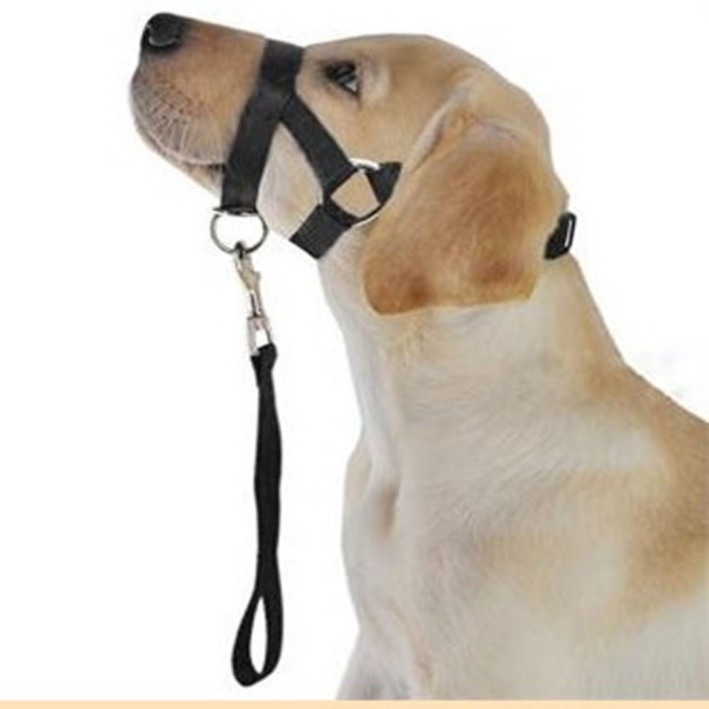 Harness Adjustable Muzzle Dog Halter Leader Belt Dog Collar Head Collar No Pull Bite Straps Training Leash Leader