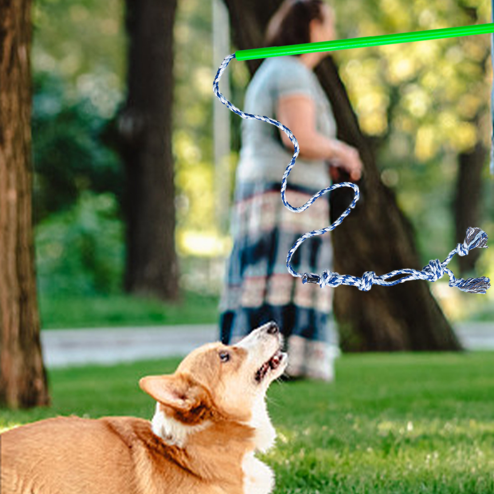 Flirt Pole For Dogs Interactive Flirt Pet Pole Rope Toy With Flexible Rope & Non-slipping Handle Outdoor Toy For Pulling Chasing