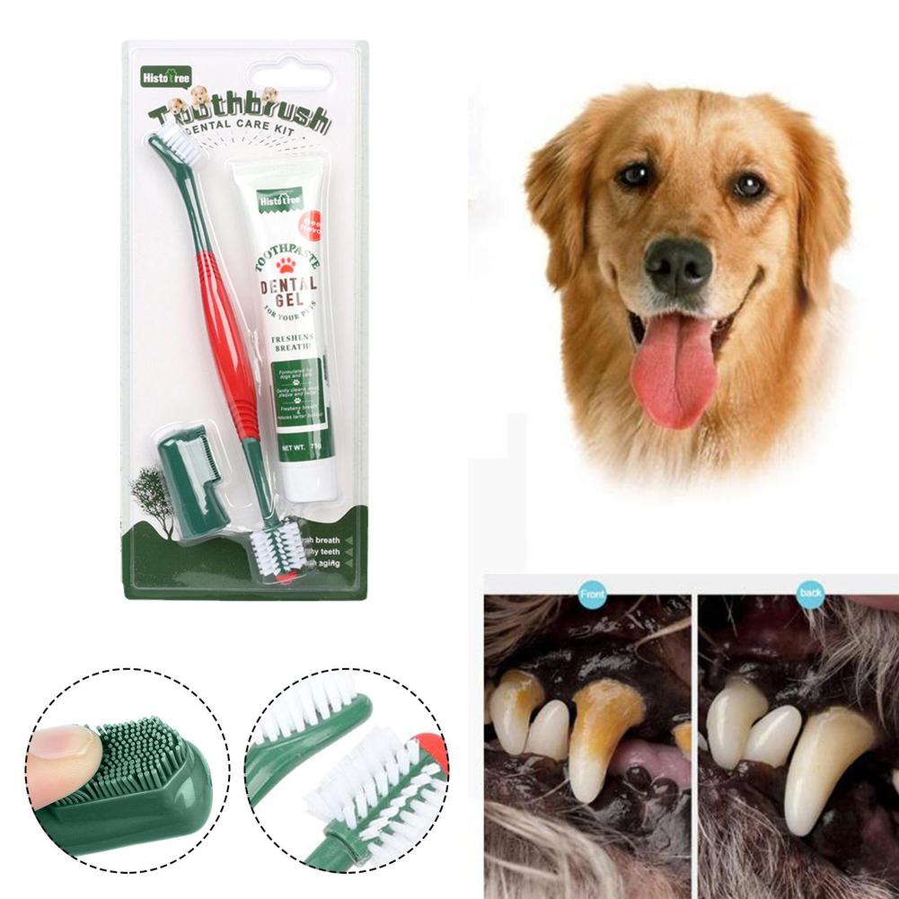 Pet Healthy Edible Toothpaste With Toothbrush Dog Cats Care Toothpaste Flavor Vanilla Mouth Teeth Cleaning Beef Flavor Dog J5M7