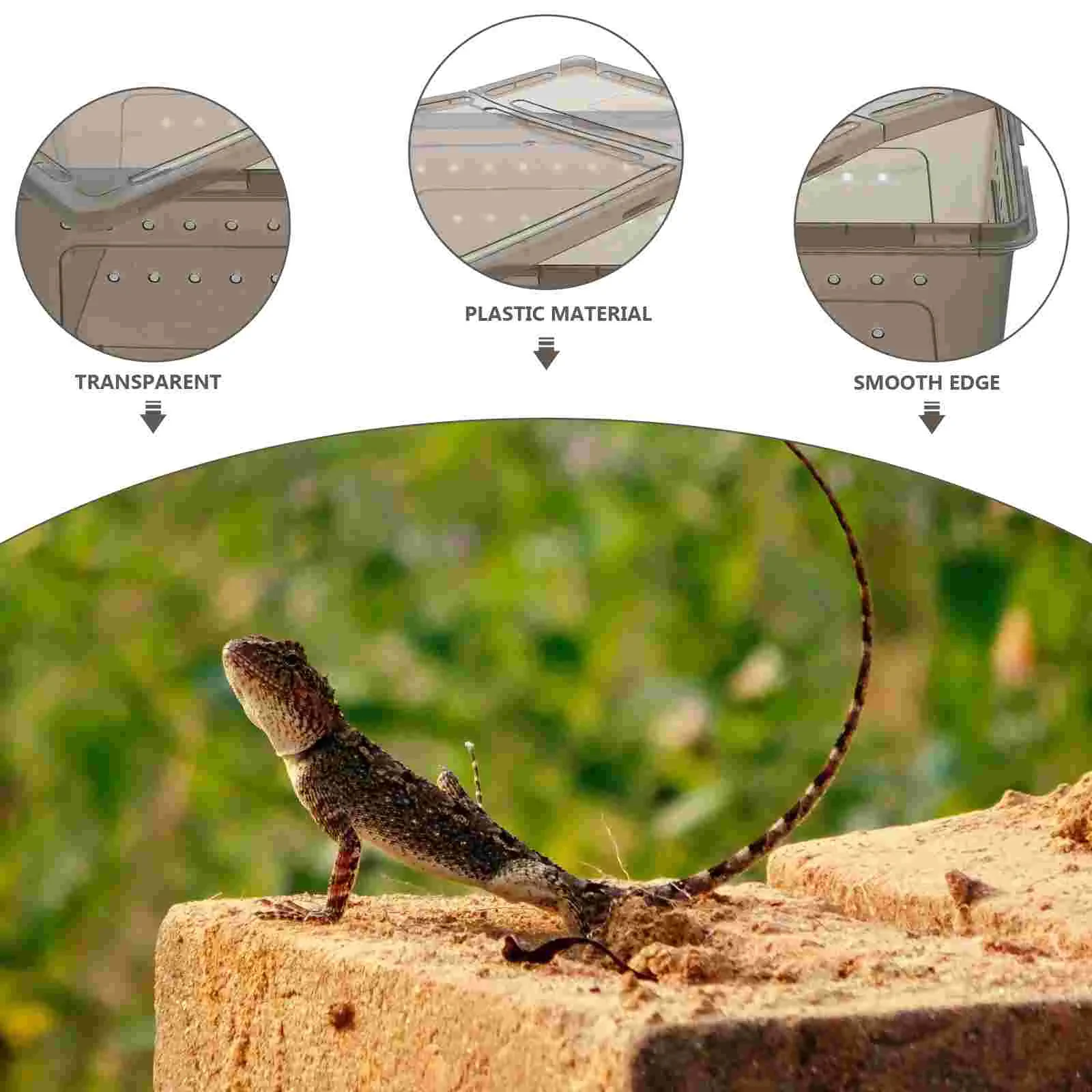 Reptile Feeding Box Aquarium Tub Water Turtle Fish Tank Terrarium Reptisoil Animal Supply Crawl Scorpion